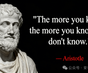 越懂的人越谦卑：敢说「不确定」才是真内行